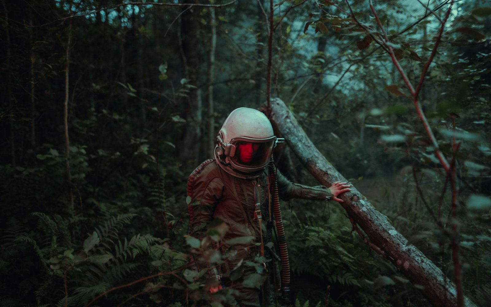 Pessoa com capacete de astronauta numa floresta escura
